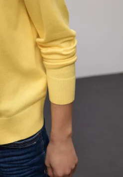 Pull basique