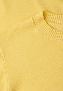Pull basique