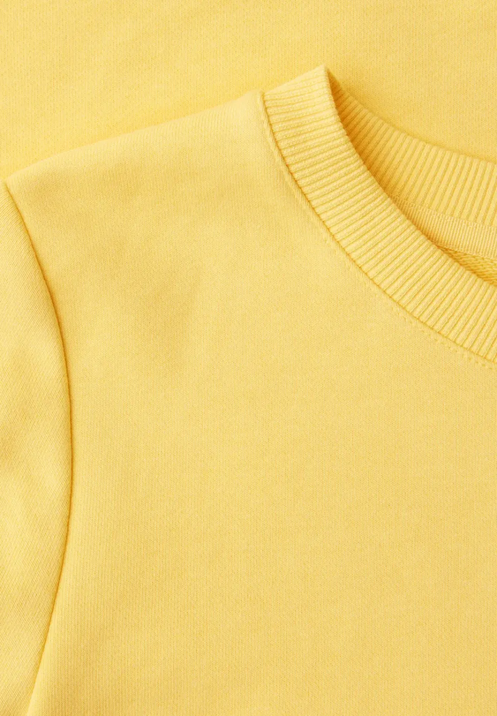 Sweat-shirt de base